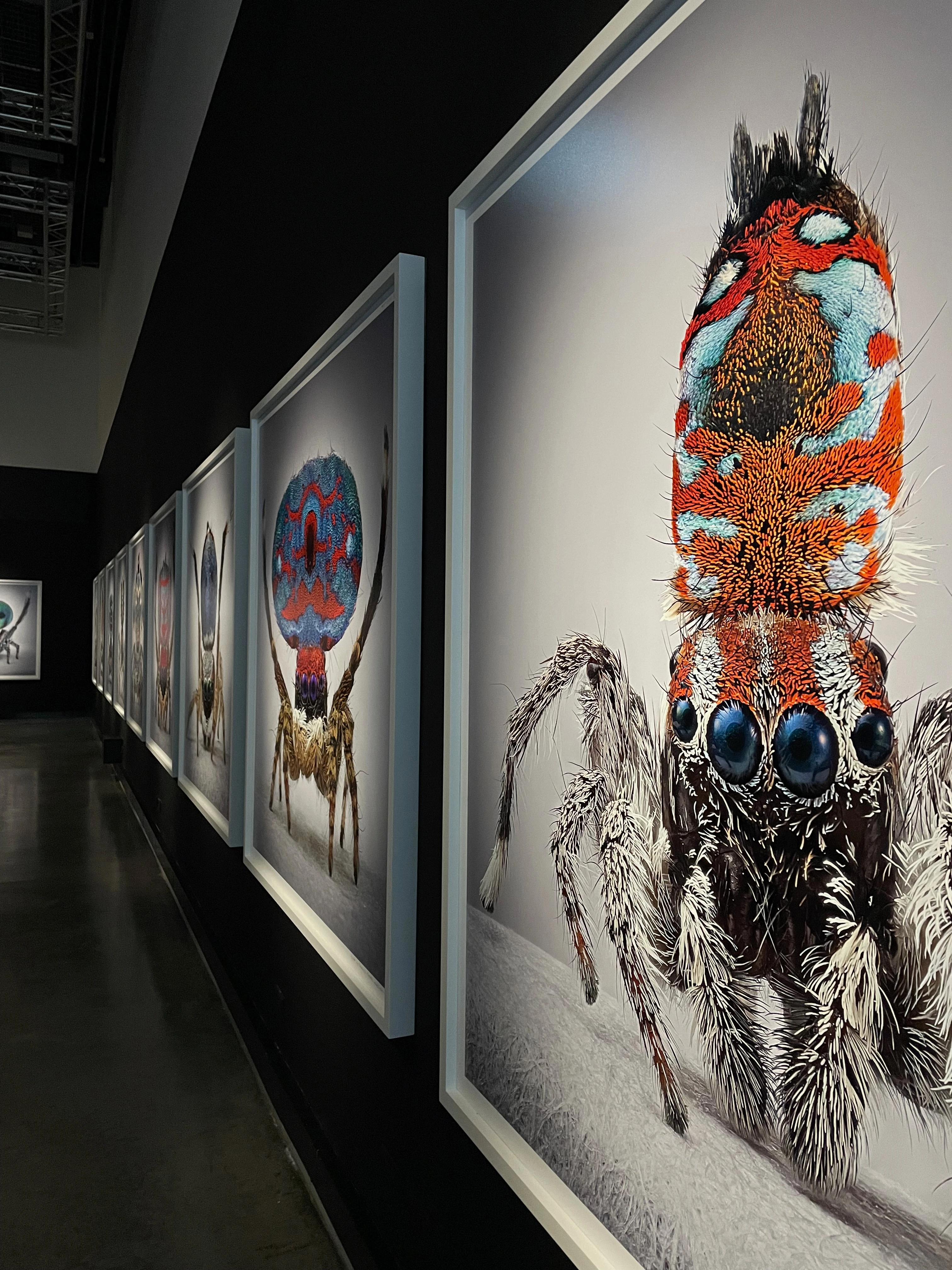 Bienal Internacional de Arte y Ciudad BOG25